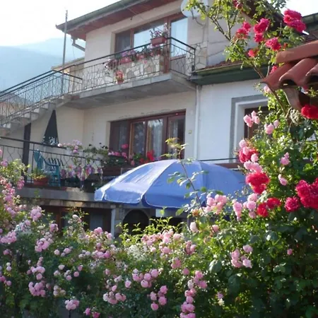 иглика شقة *