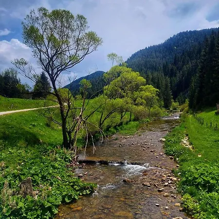 иглика Apartman Trigrad