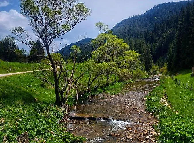 иглика Appartement Trigrad